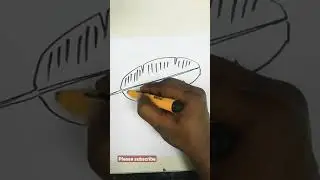 How to draw Banana leaf drawing