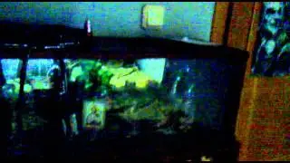 Lautriv Xquest.ru
