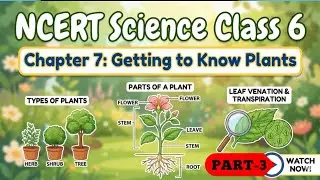 NCERT SCIENCE CLASS-6TH CHAPTER-7TH (PART-3) GETTING TO KNOW PLANTS ☘️