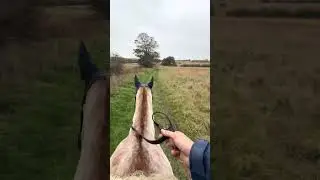 Hacking out with me and cooper