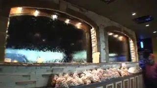 custom indoor waterfall restaurant - WaterfallNow
