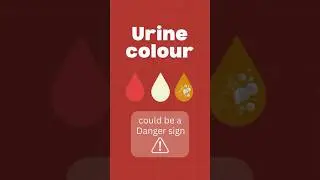 Urine Colour Kya Batata Hai? Health Warning Signs Explained Know the Health Signal Dr Ragini Agrawal