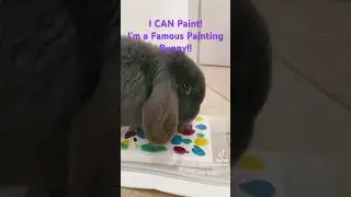 Bunny Can Paint⁉️ #shorts #cute #viral #animals #sweet #pets #rabbit #baby #love #cuteanimals #baby