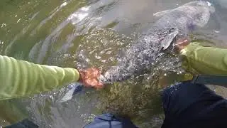 fishing the james river rva