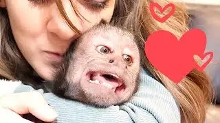 Monkey Excited to See Sister! (FREAK OUT)