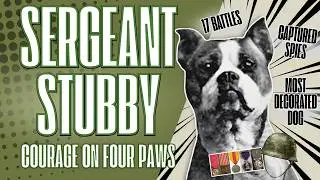Courage on Four Paws: The Only Canine Sergeant in History #dog #ww2 #documentary #animals