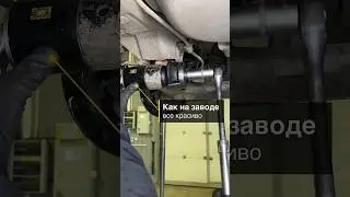 ЗАПРЕССОВКА САЙЛЕНТБЛОКОВ ЗАДНЕЙ БАЛКИ #автомеханик #автомобили #автосервис #автосоветы #лайфхак