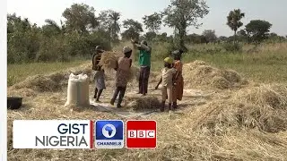 Improved Security Bolster Crop Production And Harvest For Benue Farmers