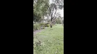 Heavy storm damage in northeast Lincoln