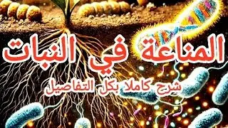 شرح مفصل الدرس الاول المناعة في النبات بعد تعديلات كتاب الوزارة #المناعة #النبات #ثانوية عامة