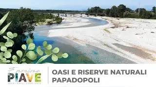 Grave di Papadopoli e Oasi di Codibungolo