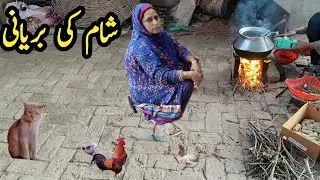 Ultimate Royal Potato Peas | Sham Family Ke Aloo Matar Bariani Ki Routine | Village Sham