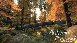 Animation - Autumn Forest