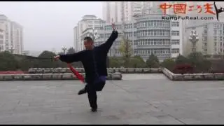 learn taiji online---taiji sword chen style practice