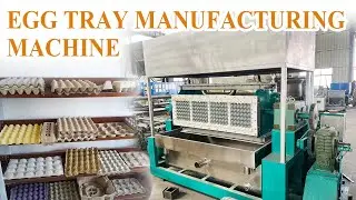 Revolutionizing Packaging: Our Advanced Pulp Molding Egg Tray Manufacturing Machine!#eggtray