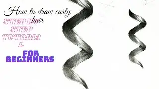 How to draw curly hair||step by step tutorial|| For beginners 🖌️