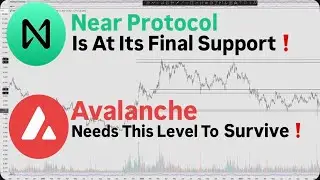 NEAR Protocol Final Support Level Is Here &ndash; AVAX Breakdown Explained! Altcoins Are Bleeding..