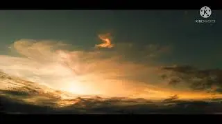 Nature capture Sky and flowers