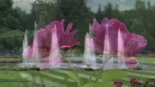 Vogelpark Walsrode in HD