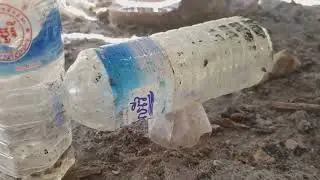 Create your own fly trap efficiently and cost-effectively