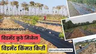विडमॅट किंमत | Weedmat Price | Use of Weed Mat | Wedmat कुठे मिळेल 9665019143 |  Weedmat cha vapar