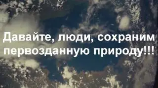ЭКО - реклама от МАОУ СОШ №32 города Тюмени.