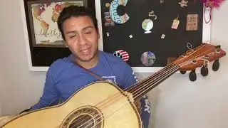 Si nos dejan guitarrón