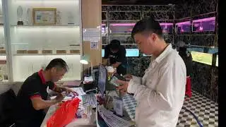 Bối đầu vàng ( CÁ RỒNG HỒNG ANH )