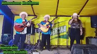 GALLİNO CHİTRE - Festa del HR Bolita Castillo en la Yeguada de Calobre