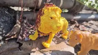 Wild Safari Animal Figurines 🐅🦓 | Fun Facts & Learning for Children #animaltoys #animalzoo #wildlife