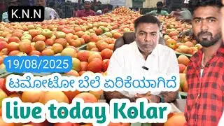 #Live #today #Kolar #tomato market rat 19/08/2025  ಕೋಲಾರ ಟಮೋಟ ಮಾರ್ಕೆಟ್ ಇವತ್ತಿನ ರೇಟ್ ಎಷ್ಟುಗೊತ್ತಾ.?