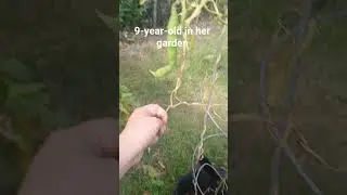 Nine year old in her garden