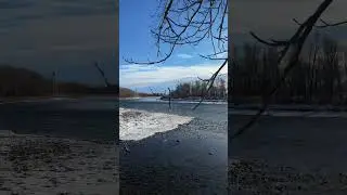 God&rsquo;s Nature