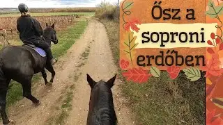 Gyönyörű erdei tereplovaglás GoProval 🍁😍