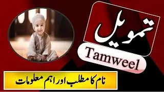 Tamweel Name Meaning | Tamweel Lucky Day | Tamweel Lucky Stone | Tamweel Numerology