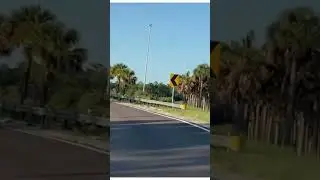 #orlandoflorida #sunday #driving #palmtrees #clearskies #fyp #merenguetipico #elrubio #musica #relax