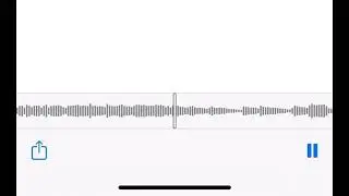 Instrumental 