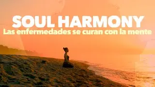 Soul Harmony 💚 Las enfermedades se curan con la mente 🌿 [ 528 Hz Music Therapy ] 🌿 Peace and Love