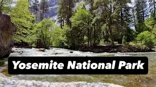 Heavy River Flow In Yosemite National Park | 4K Relaxing Nature Scene | Relaxing River Sounds 8 Min