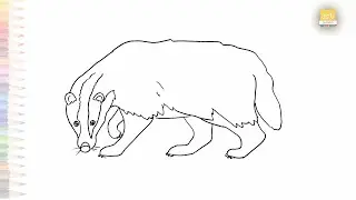 Badger drawing 03 | Animal easy drawings | How to draw A Badger drawing step by step | draw Outline