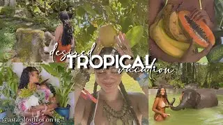 ੈ✩desired tropical vacation.ೃ࿐ subliminal // manifest your dream vacation *ೃ༄