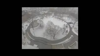 A Year in Grange Park