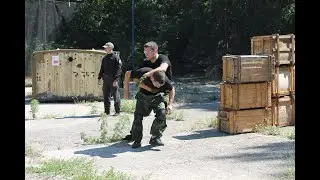 Подготовка телохранителей (работа с оружием) / Training of bodyguards (working with weapons)
