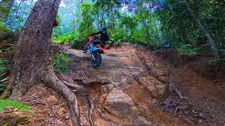 Cruising Through The Hard Tracks