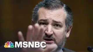 Cruz Among GOP Senators Who Try To Link Innocence Project Lawyer To Crime Hike
