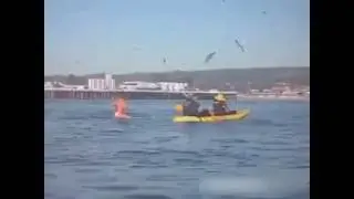 Неожиданная встреча с китами