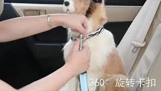 B42 eflective LED pet seat belt