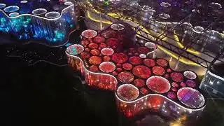 Night Wonderland at Shanghai Greenhouse Garden: A Magical Journey of Light, Nature & Architecture