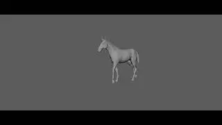 Horse walk cycle