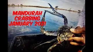 Mandurah Crabbing January 2021| Catch & Cook | Berburu Kepiting | Perth | 🇦🇺 Australia